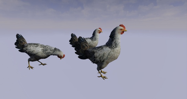 Realistic Animal Pack for Unreal Engine 4
