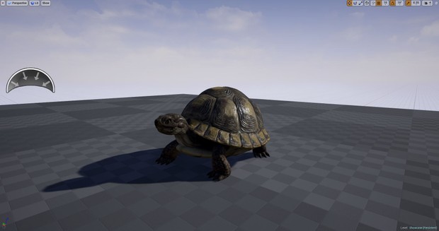 Realistic Turtle
