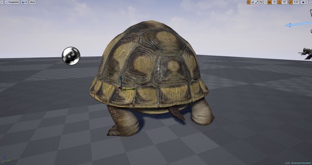 Realistic Turtle