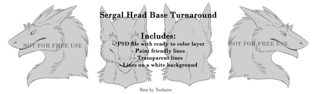 Sergal Head Turnaround