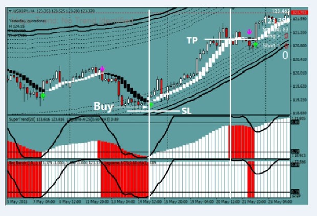 DPL V2 Raper Trading System - Forex Trading System