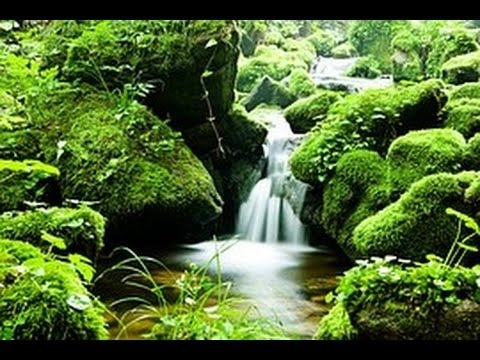 Musica Per Smettere Di Pensare E Calmare La Mente. Musica Rilassante CD 1