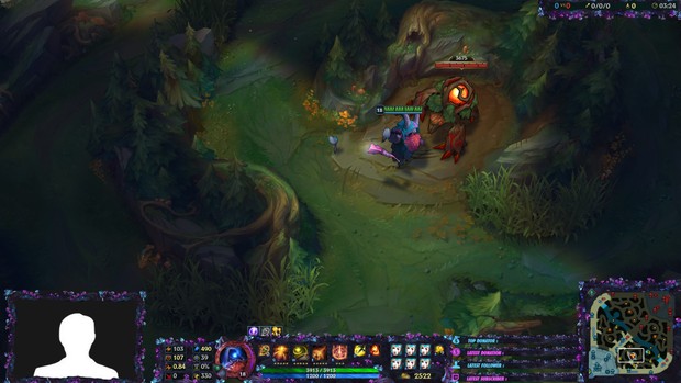 ELDERWOOD BARD - STREAM OVERLAY