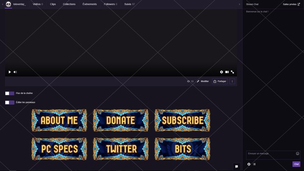 CHALLENGER - TWITCH PANELS