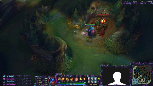 ELDERWOOD BARD - STREAM OVERLAY