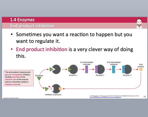 Cambridge Pre-U Biology - 1.4 Enzymes