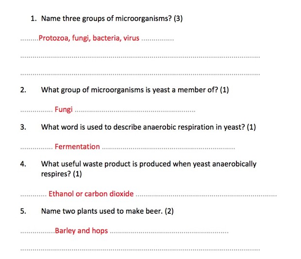 IGCSE Biology - Microorganisms and Genetic Engineering Revision Quiz