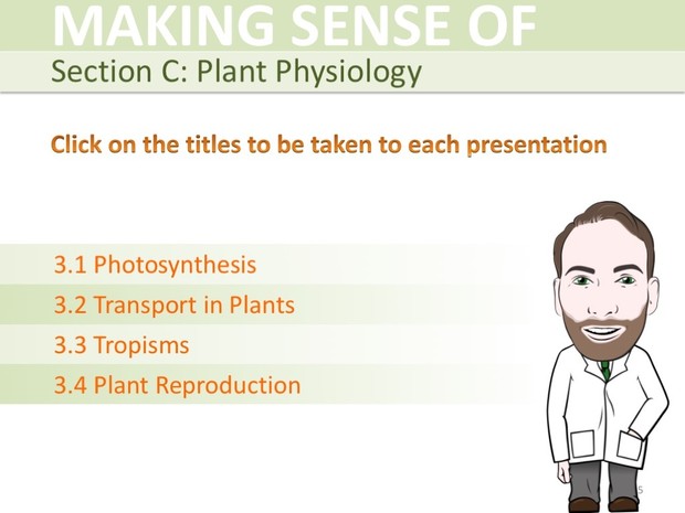 IGCSE Biology - Plant Physiology Presentation Bundle