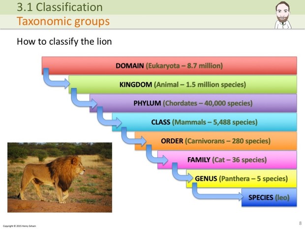A Level Biology - Classification and Biodiversity Presentation