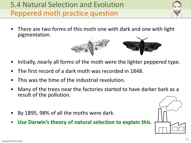 IGCSE Biology - Evolution Presentation
