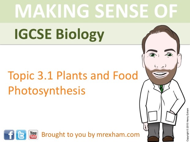 IGCSE Biology - Photosynthesis Presentation