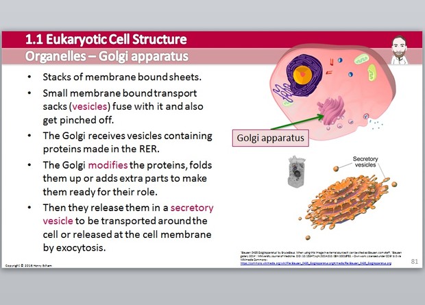 Cambridge Pre-U Biology - 1.1 Eukaryotic Cell Structure Presentation