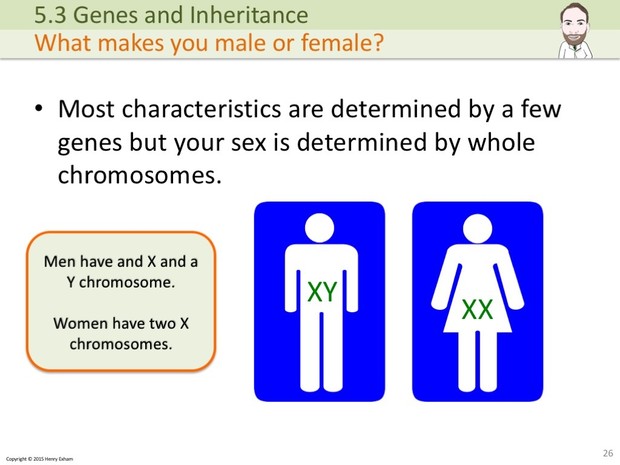 IGCSE Biology - Genes and Inheritance Presentation