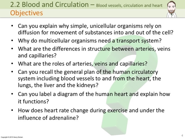 IGCSE Biology - Blood Vessels, Circulation and the Heart Presentation