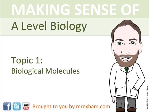 A Level Biology - Biological Molecules Presentation