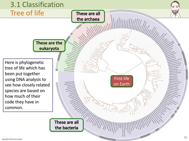 A Level Biology - Classification and Biodiversity Presentation