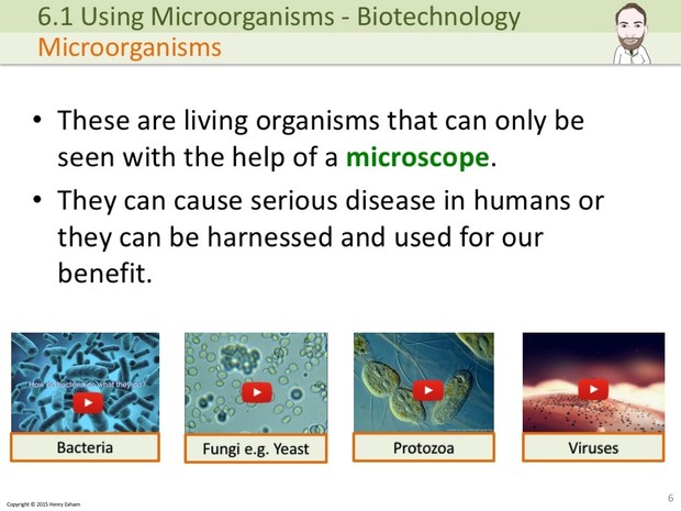 IGCSE Biology - Using Microorganisms Presentation