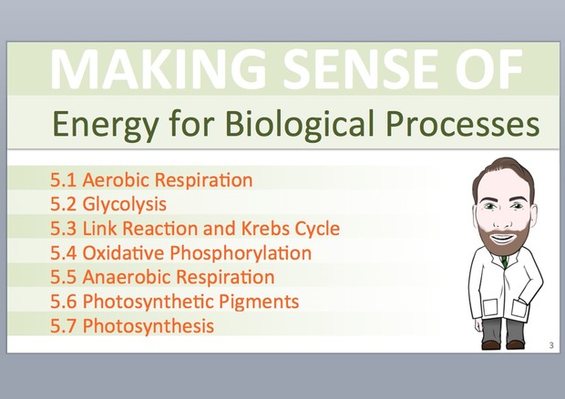 A Level Biology - Energy for Biological Processes Presentation