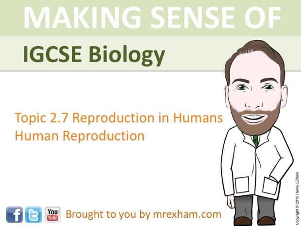 IGCSE Biology - Human Reproduction Presentation