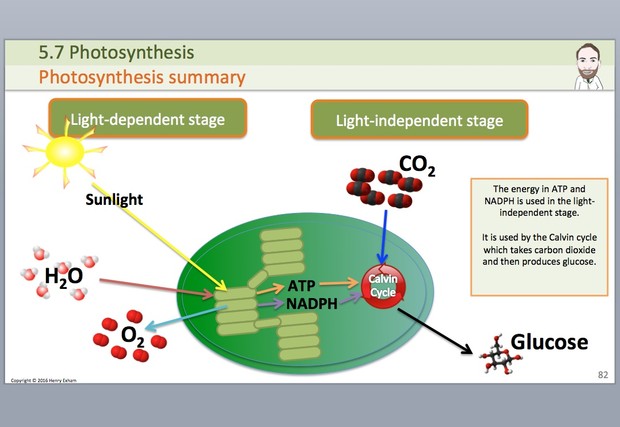 A Level Biology - Energy for Biological Processes Presentation