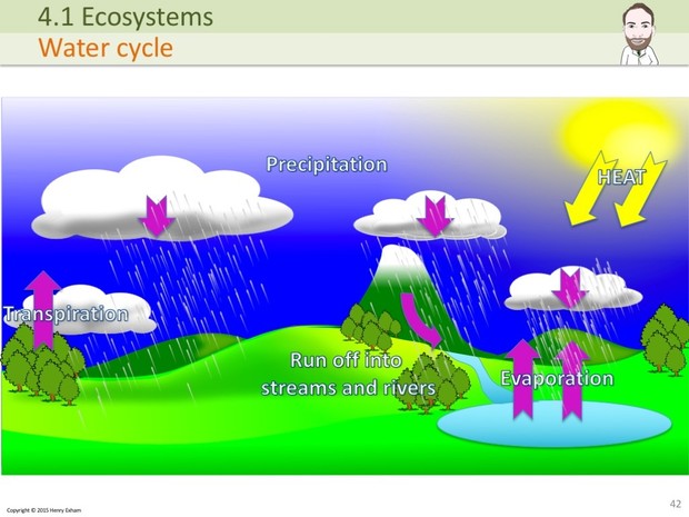 IGCSE Biology - Ecosystems Presentation