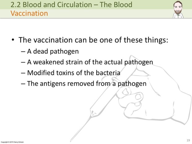IGCSE Biology - The Blood Presentation