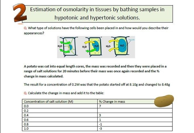 IB Biology 7 Key Practicals Revision Exercise