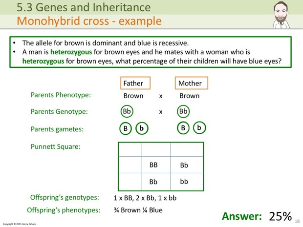 IGCSE Biology - Genes and Inheritance Presentation
