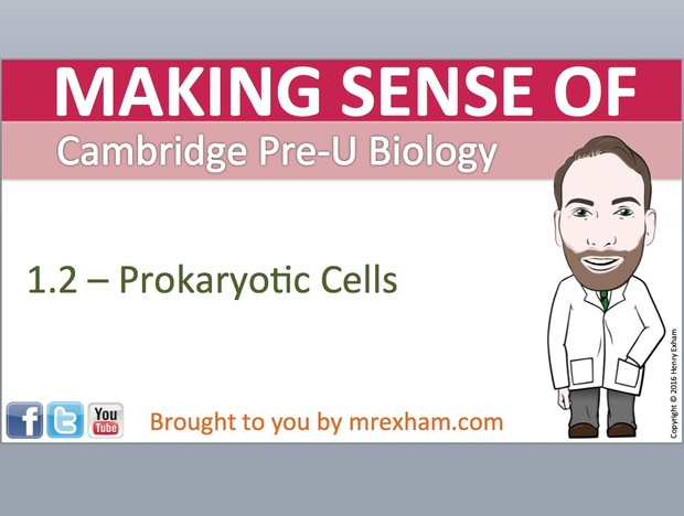 Cambridge Pre-U Biology - 1.2 Prokaryotic Cells Presentation