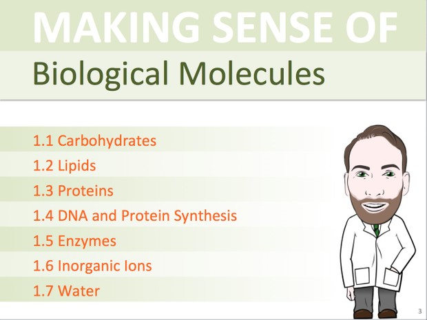 A Level Biology - Biological Molecules Presentation