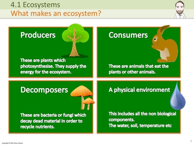 IGCSE Biology - Ecosystems Presentation