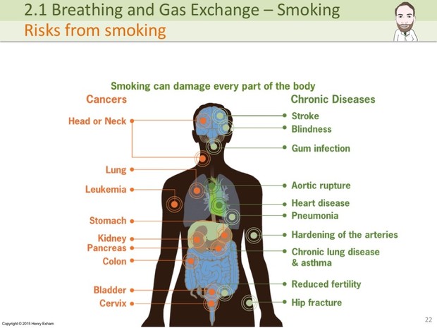 IGCSE Biology - The Lungs, Gas Exchange and Smoking Presentation