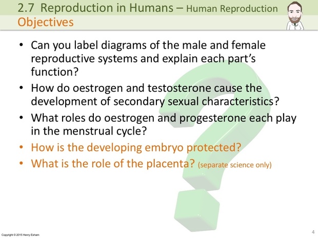 IGCSE Biology - Human Reproduction Presentation