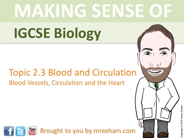 IGCSE Biology - Blood Vessels, Circulation and the Heart Presentation