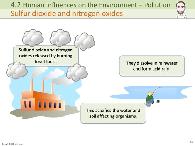 IGCSE Biology - Pollution Presentation