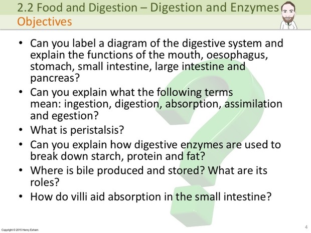 IGCSE Biology - Digestion and Enzymes Presentation