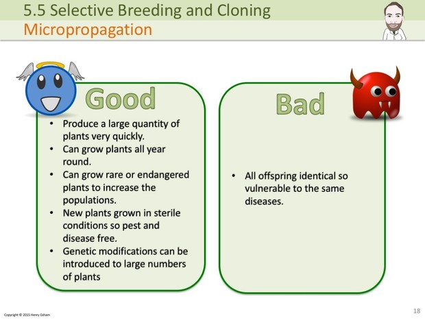 IGCSE Biology - Selective Breeding and Cloning Presentation