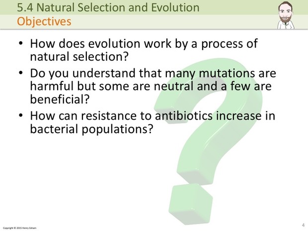 IGCSE Biology - Evolution Presentation
