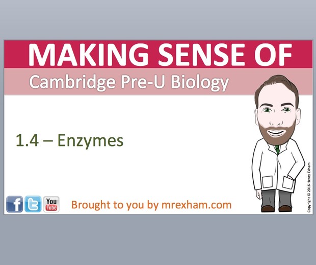 Cambridge Pre-U Biology - 1.4 Enzymes