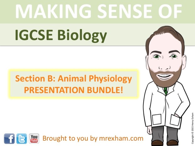 IGCSE Biology - Animal Physiology Presentation Bundle