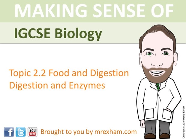 IGCSE Biology - Digestion and Enzymes Presentation