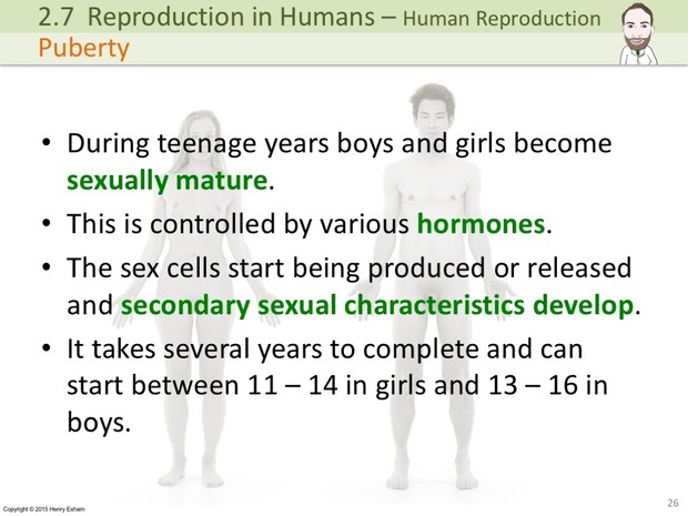 IGCSE Biology - Human Reproduction Presentation
