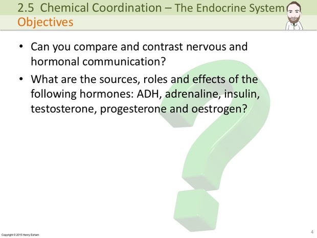IGCSE Biology - The Endocrine System Presentation