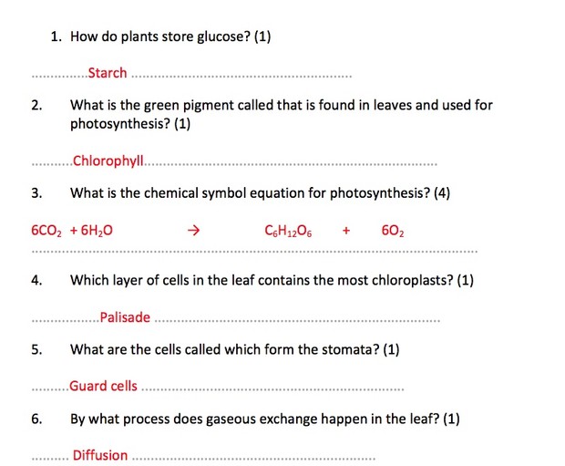 IGCSE Biology - Plant Physiology Revision Quiz