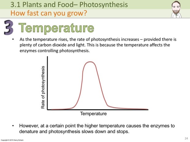 IGCSE Biology - Photosynthesis Presentation