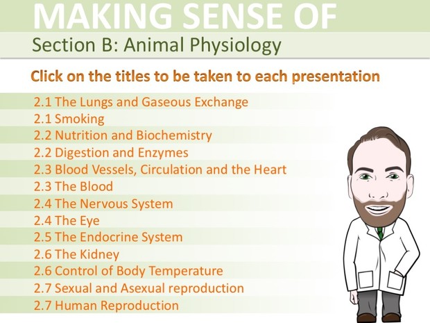 IGCSE Biology - Animal Physiology Presentation Bundle