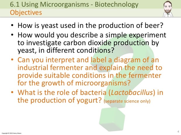 IGCSE Biology - Using Microorganisms Presentation