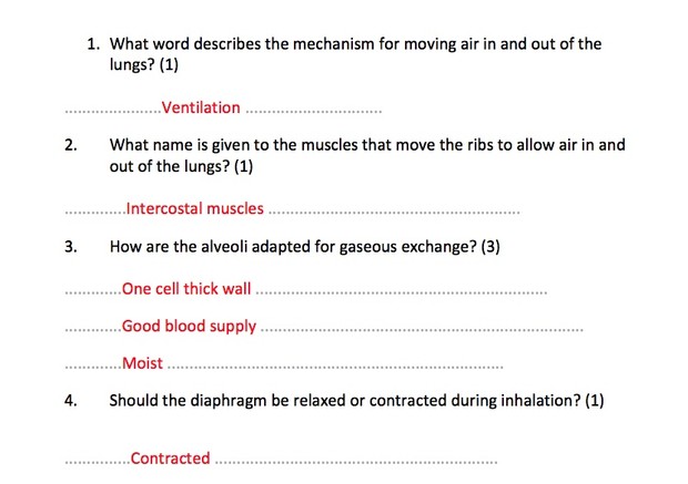 IGCSE Biology - Animal Physiology Revision Quiz