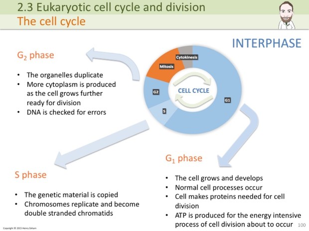 A Level Biology - Cells, Viruses and Reproduction of Living Things Presentation