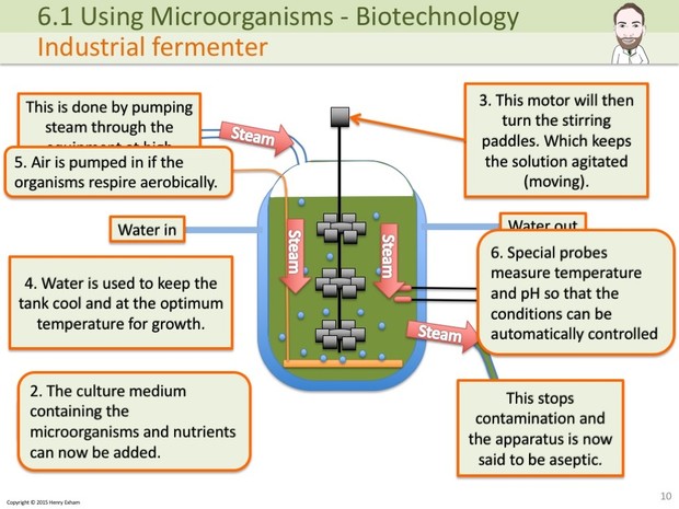 IGCSE Biology - Using Microorganisms Presentation